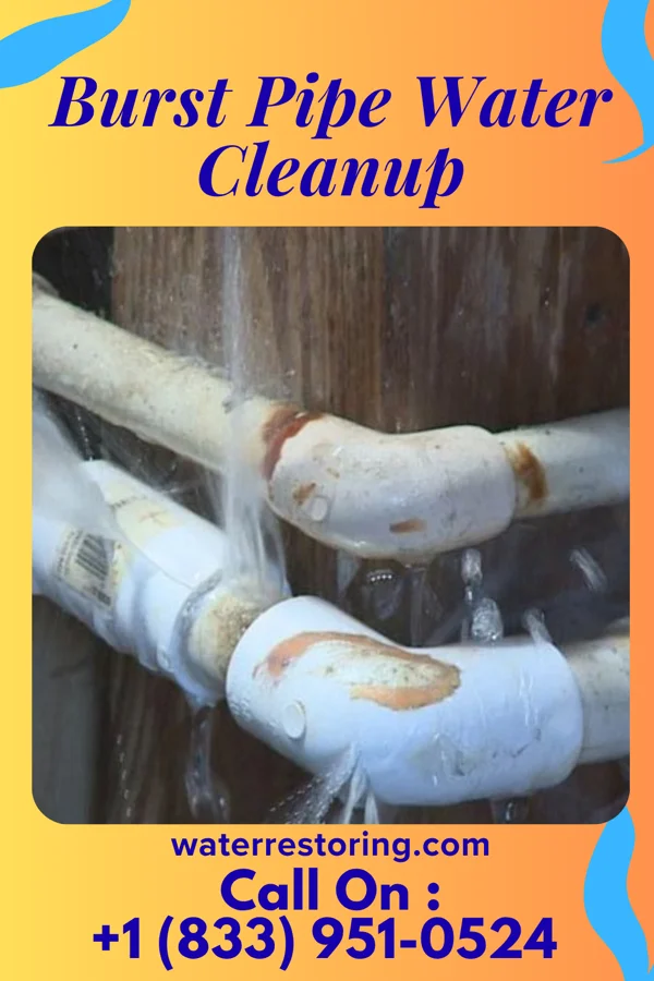 Burst Pipe Water Cleanup in Pacolet, SC