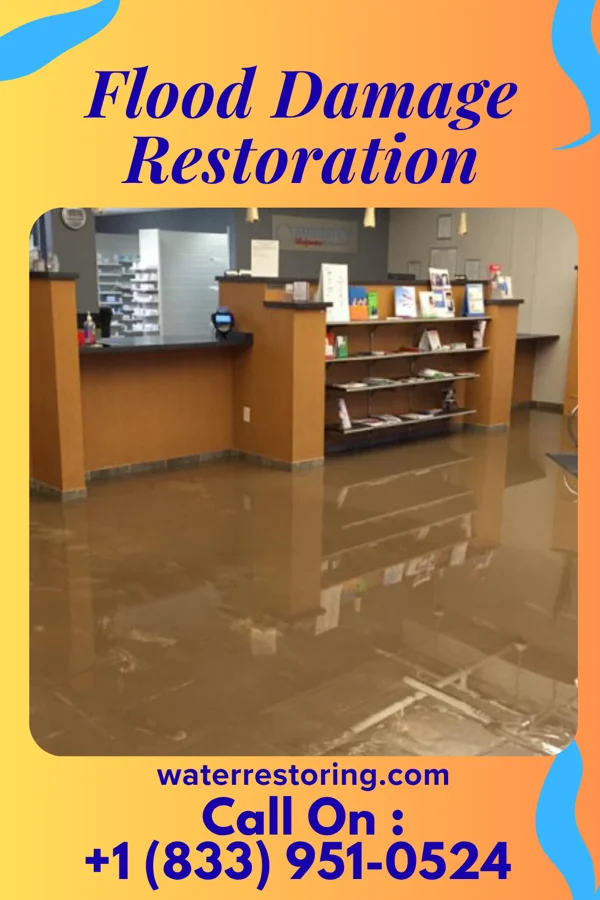 Flood Damage Restoration in Pacolet, SC