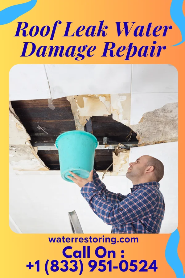 Roof Leak Water Damage Repair in Pacolet, SC