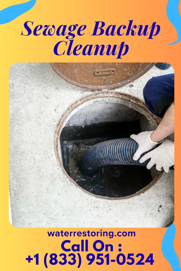 Sewage Backup Cleanup in Pacolet, SC